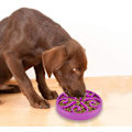 Miniatyrbild 4 av 4: 1 st Slowmatningskål för Hund, Långsam Ätningsskål för Mellanhundar, Rolig Pussel Slow Feed Halksäker Interaktiv Blo Purple