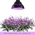 Miniatyrbilde 3 av 4: 50W LED Plantelampe Vekstlys Fullt Spektrum, Vekstlampe 78 LED Plantelys Plantelamper Vekstlampe For Planter Drivhus Innendørsplanter Blomstrende Blomster