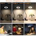 Miniatyrbillede 3 af 6: Bordlampe med Klips, 10 Dæmpbare Lysstyrker, 3 Lystilstande, Læselampe, Klips til Sengelampe til Maling, Håndværk, Studie, Videokonference