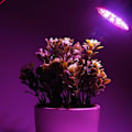 Miniatyrbilde 4 av 5: Växtlök E27 Växtlampa 30w Full Spectrum Tillväxt Inomhus Trädgård Växtbelysning Hydroponisk lampa för blomväxter [4 Pack]