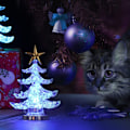 Miniatyrbilde 7 av 7: Akryl Juletre Nattlys USB Fargerikt Lyssterk Bordlampe LED Nattlys Juledekorasjon for Barnerom Soverom Hjemfest 2 Stykker