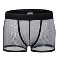 Men's Underwear Sexy Transparent Mesh Boxer Briefs