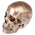 Miniatyrbillede 2 af 5: Menneskelig Bronze Resin Kranie Model Halloween Realistisk 1:1 Statue Guld One Size