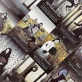 Pikkukuva 5 / 5: Seasons Of The Witch Oracle Oards Samhain Oracle Hot Sell Tarot Cards For Divination Tarot Deck56st Ts111 zdq