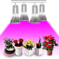 Miniatyrbilde 2 av 5: Växtlök E27 Växtlampa 30w Full Spectrum Tillväxt Inomhus Trädgård Växtbelysning Hydroponisk lampa för blomväxter [4 Pack]