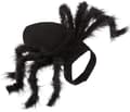Halloween Dekoration Husdjurskläder Spindel Valp Katt Skräck