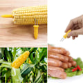 Miniatyrbilde 4 av 5: Maiskolber Grimma, 10 stk Maiskolber Spid, Grillspyd Mat Fruktgafler, Maisholder Maiskolbe Nål For Bbq 20stk
