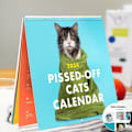 Pikkukuva 2 / 5: 2024 Angry Cat -kalenteri Hauska seinäkalenteri Vihaisia ​​kissoja H A 1KPL