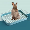 Miniatyrbild 9 av 10: Smådjurstillbehör Toalett Kanin Kattlåda BLÅ S blå blue S