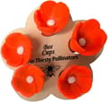 Bee Drinker Bowl, Bee Cups for Garden, Mini Bee Drinking Cups Used by Bees in Gardens. (5 Colors) A4
