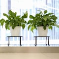 Miniatyrbilde 5 av 5: Blomsterpotte stativ, kraftig potteholder innendørs og utendørs, metall rustfritt jern, hageholder, runde støtter, stativ for plantekasse, svart