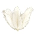 Miniatyrbillede 1 af 5: 10 stk Struds fjer Plume Centerpiece Bryllupsfest Borddekoration 30-35cm Hvid