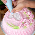 Miniatyrbillede 5 af 5: Tyllesæt – 24 stk Sprøjte-tyller, Sprøjtepose Kobling – Cake Tool_qq