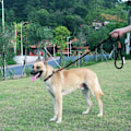 Miniatyrbillede 6 af 10: 180 cm Hundesnor Stærk reb Hundesnor SORT black