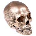 Miniatyrbillede 3 af 5: Menneskelig Bronze Resin Kranie Model Halloween Realistisk 1:1 Statue Guld One Size
