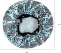 Miniatyrbilde 4 av 8: 3-pakning dobbeltlags dusjhette vanntett elastisk badehette for kvinner dusj spa salong Multicolor-2