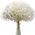 10 stk. hvide hortensia silkeblomster elfenbenshvid