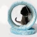 Miniatyrbild 4 av 6: Kattklösbräda med Grottdesign, Rund Klätterställning med Mus-Hänge för Inomhusbruk, Blå, One Size