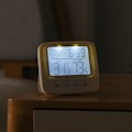 Miniatyrbillede 4 af 5: Højpræcisions elektronisk hygrometer til vægmontering