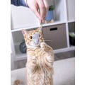 Miniatyrbilde 5 av 6: 10 søte små plysj urte muse katt leker for katt kjæledyr