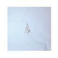 Miniatyrbild 5 av 5: 5 st 3D färgutskrift Jul hjort bil Jul tredimensionell