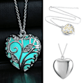 Pikkukuva 2 / 5: Luminous Luminous Locket -riipus kaulakoru naisille, jossa on taianomainen F