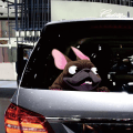 Miniatyrbillede 5 af 5: 1 stk. Sjov hundebilsticker med store ører og øjne Mops hundesticker