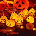 Pikkukuva 1 / 5: halloween, halloween-keijukaivot, halloween-keijukaivot, 2M 10