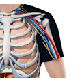 Pikkukuva 3 / 3: Halloween T-paita Rungon Anatomia Sisäelimet T-paita 3D Tulostus C