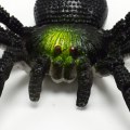 Miniatyrbilde 5 av 5: Fargemyk myk klebende edderkopp, stor edderkopp, insektmodell floke pr