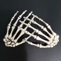 Miniatyrbillede 1 af 5: Halloween Spøgelse Hånd Horror Dekoration Rekvisitter Skelet Hånd Klo