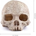 Miniatyrbillede 2 af 5: Halloween simulation menneske kranium skelet statue gotisk bil hjem
