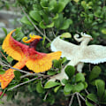 Miniatyrbillede 2 af 5: 2 Phoenix Simulation Naturdyr Legetøj