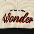 Miniatyrbillede 3 af 7: Broderet baseball cap, tredimensionelt broderet ande cap