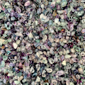 Miniatyrbillede 3 af 4: Fluorite knuste chips sten krystal knust kvarts stykker irreg
