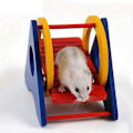 Miniatyrbillede 1 af 5: Træ Regnbue Hamster Vippe Gynge Legetøj Farverig Træ Hængende
