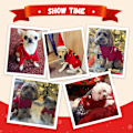 Miniatyrbillede 4 af 7: Grim Julehund Sweater Rød Juleferie Kæledyr Sweater, Rød Bla