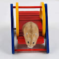 Miniatyrbillede 4 af 5: Træ Regnbue Hamster Vippe Gynge Legetøj Farverig Træ Hængende