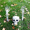 Pikkukuva 3 / 5: 3-osainen Halloween-sarja Realistiset kallopanokset, puutarhanurmikon panokset