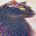 Miniatyrbild 2 av 6: Svart katt diamantmålning set,D svart katt diamantmålning set,