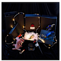 Miniatyrbild 4 av 5: 6 st Micro 2m 20 LED-lampor Batteridrivna ljusslingor
