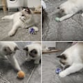 Miniatyrbild 4 av 4: Kattboll leksaker Pom Pom Sparkle Fuzzy Balls Blandade färger (12 Pa
