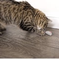 Miniatyrbilde 6 av 6: 10 søte små plysj urte muse katt leker for katt kjæledyr
