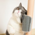 Miniatyrbild 2 av 5: 4-pack hörnklösare för katt, kattleksak, klösbräda