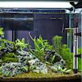 Miniatyrbilde 2 av 6: Akvarievarmer 100W Automatisk Termostat Nedsenkbar Akvarium