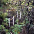 Miniatyrbild 3 av 7: Julgransdekorationer istappsprydnader 24 stycken - istappdekoration