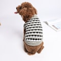Miniatyrbillede 6 af 6: 3 nye kæledyrstrøjer Nye hundeklæder efterår/vinter Teddy Boxer swe