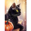 Miniatyrbild 1 av 6: Svart katt diamantmålning set,D svart katt diamantmålning set,