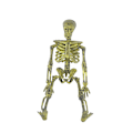 Miniatyrbillede 2 af 4: 3 stk. Halloween Haunted House Lille Skelet Skelet Ornament