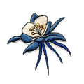 Miniatyrbilde 4 av 5: Sett med 9, blomster, pene broderte lapper til å stryke på og sy